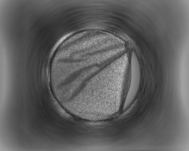 X0000083570796200703091636