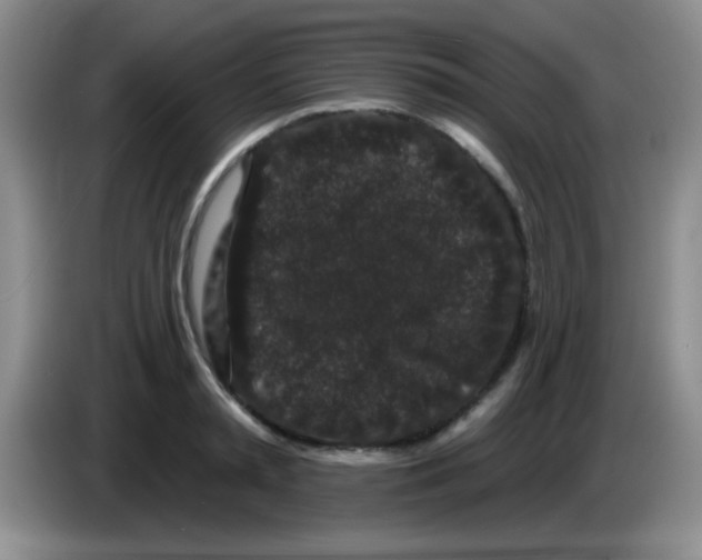 X0000083570797200703091636