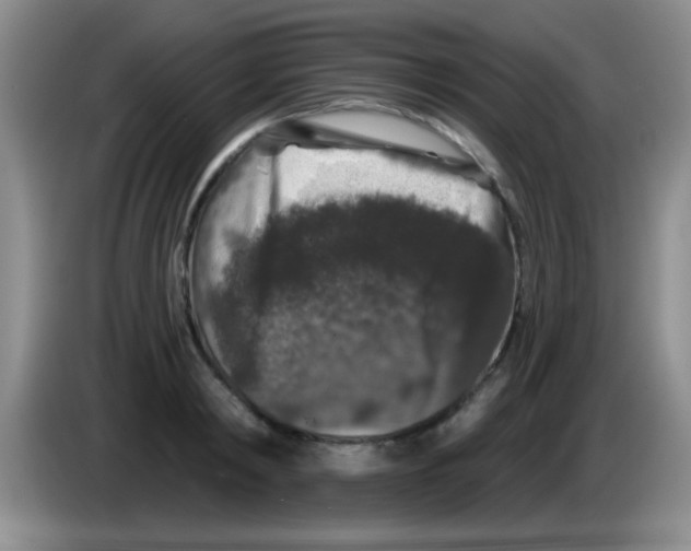 X0000083570798200703091636