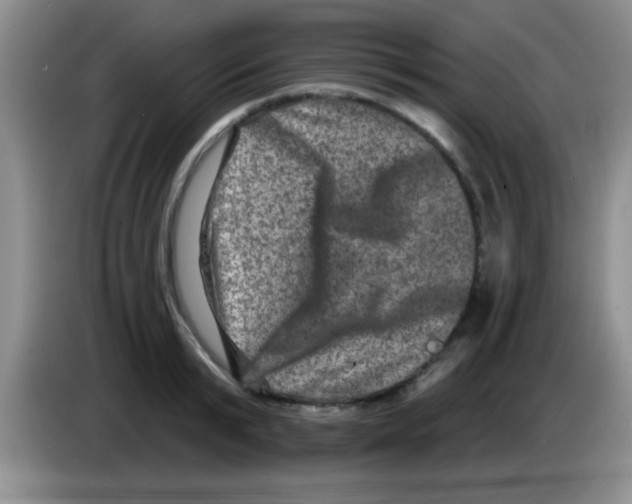 X0000083570799200703091636