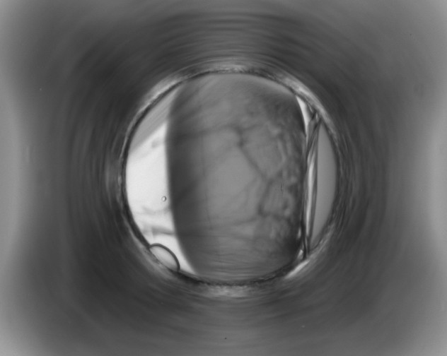 X0000083570802200703091636