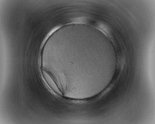 X0000083570804200703091636