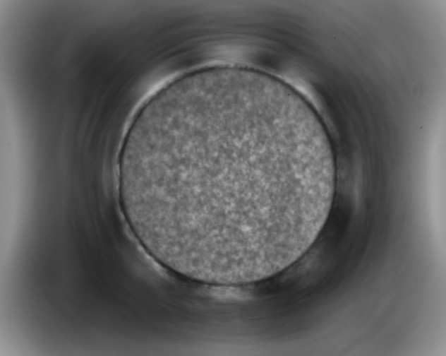 X0000083570807200703091636
