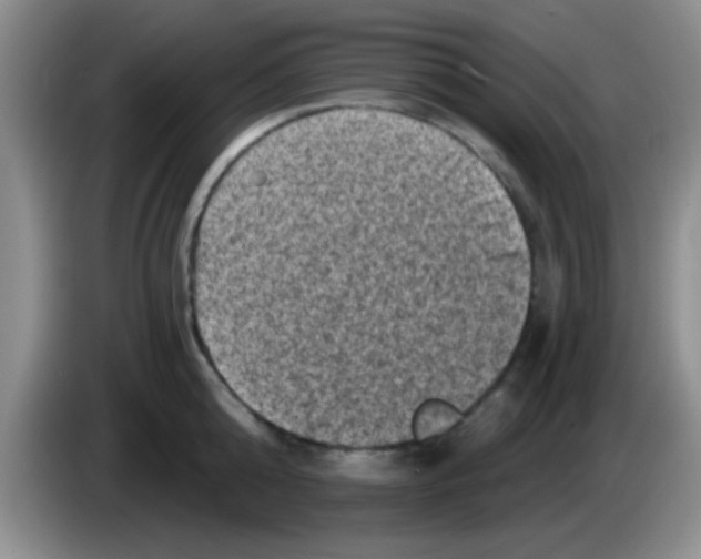 X0000083570808200703091636
