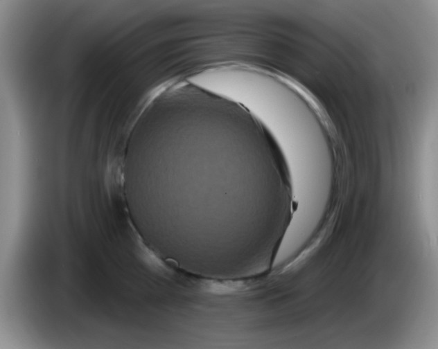 X0000083570809200703091636