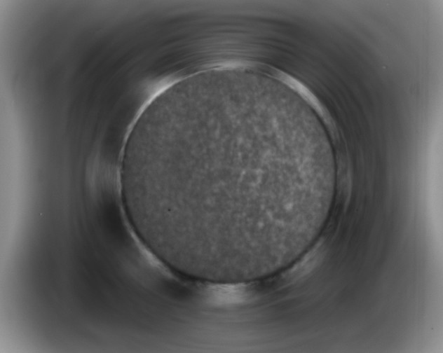 X0000083570810200703091636