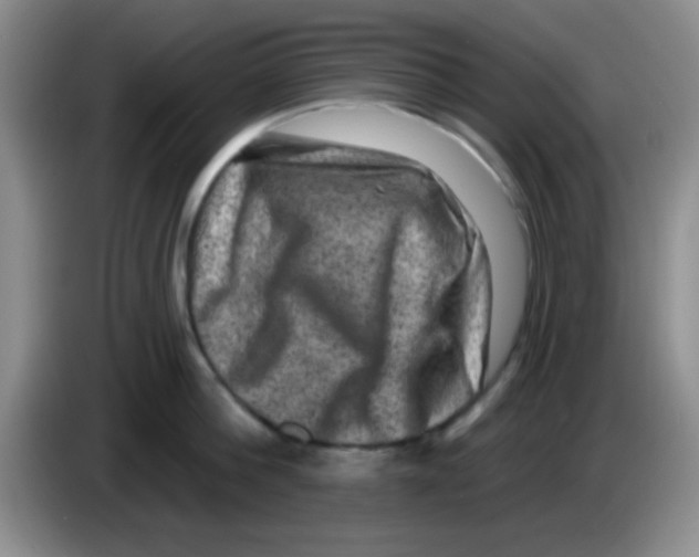 X0000083570812200703091636