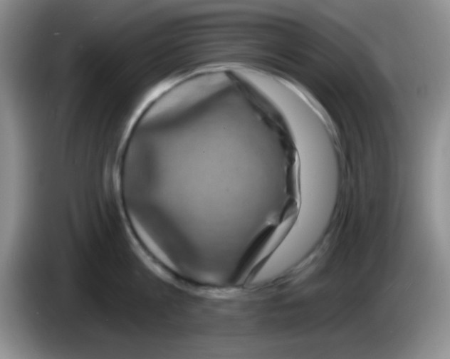 X0000083570813200703091636