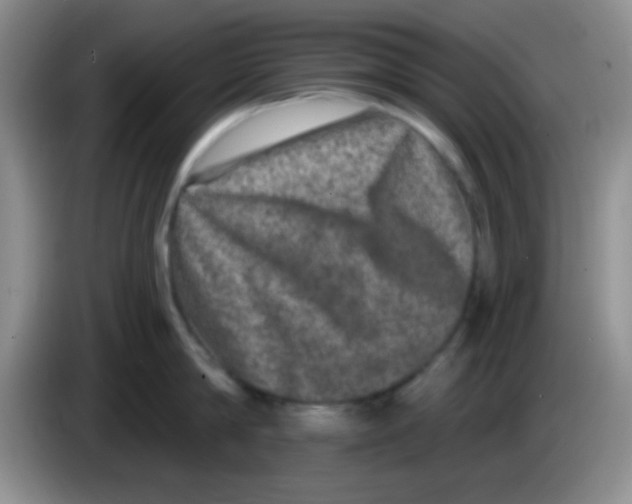 X0000083570814200703091636