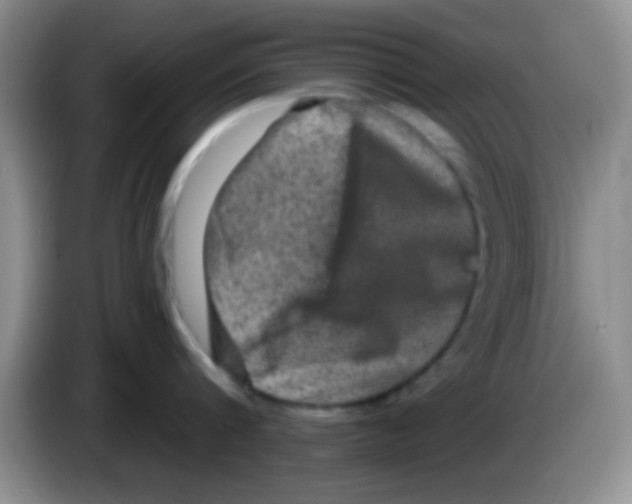 X0000083570816200703091636