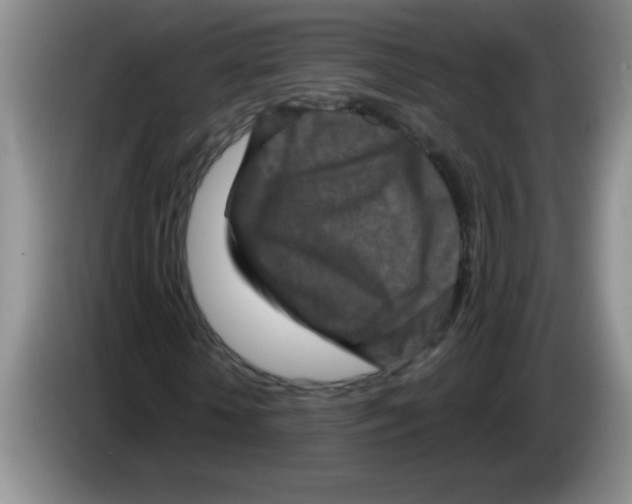 X0000083570818200703091635