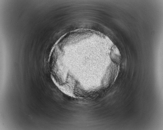 X0000083570819200703091635