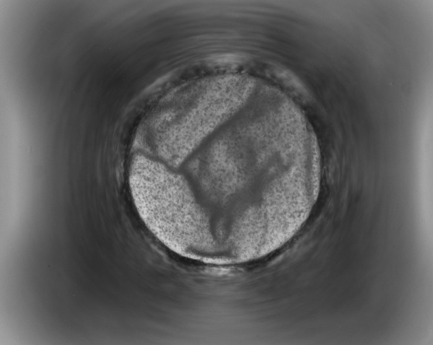 X0000083570821200703091635