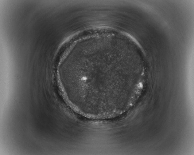 X0000083570823200703091635