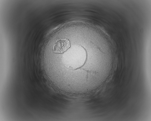 X0000083570824200703091635