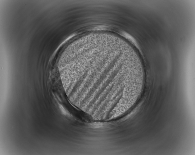 X0000083570827200703091636