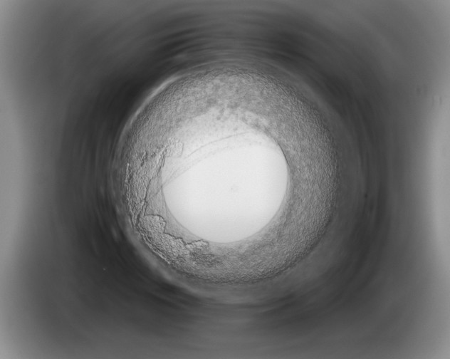 X0000083570828200703091636