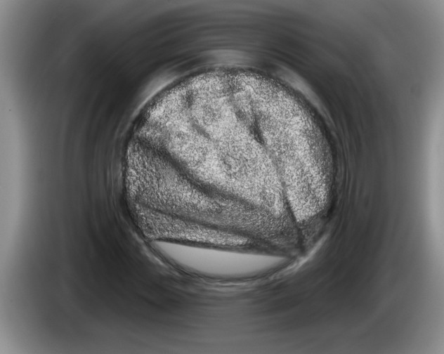 X0000083570829200703091636