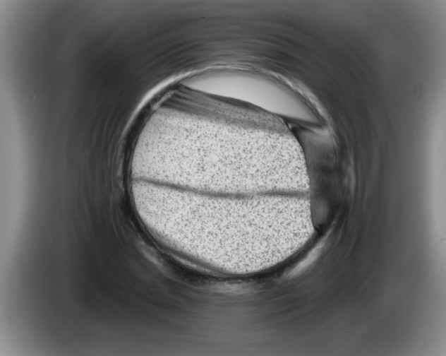 X0000083570830200703091636