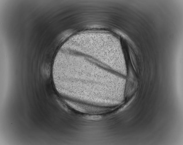 X0000083570833200703091636