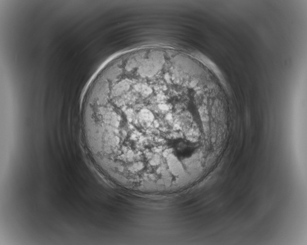 X0000083570836200703091636