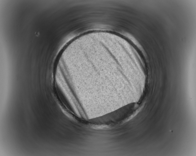 X0000083570837200703091636