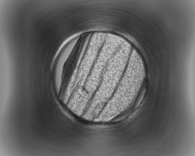 X0000083570838200703091636