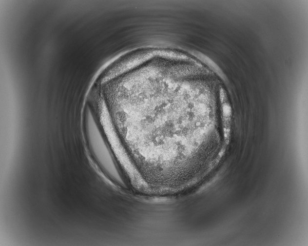 X0000083570839200703091636