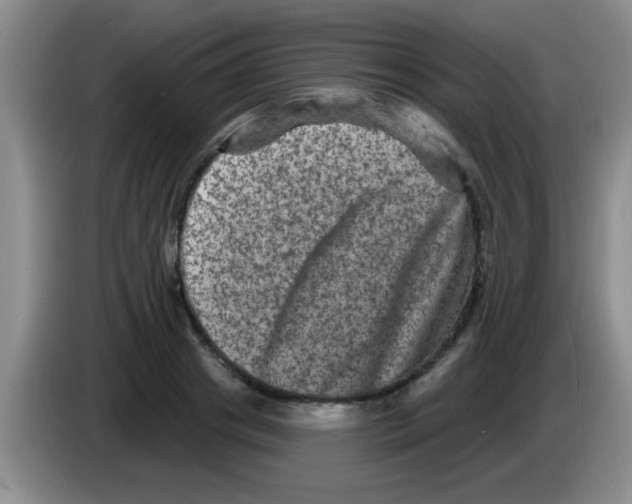 X0000083570841200703091636