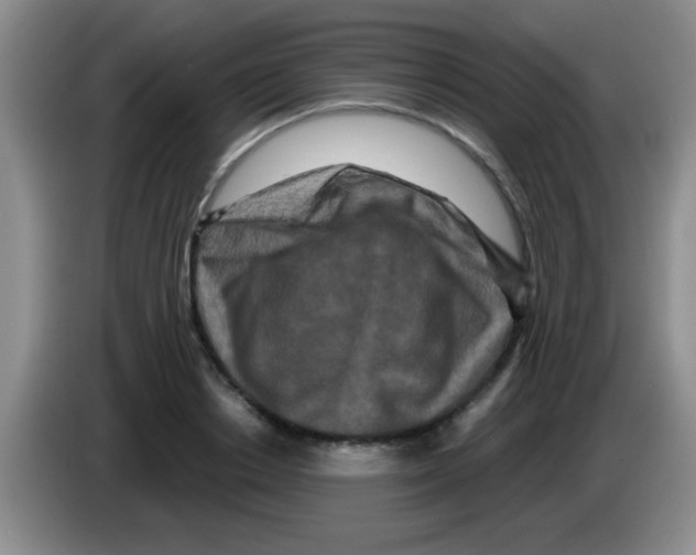 X0000083570842200703091636