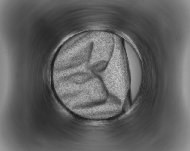X0000083570843200703091636