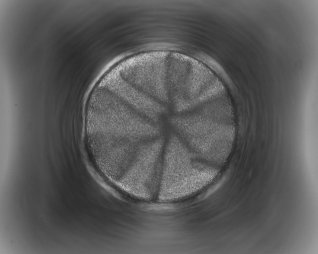 X0000083570844200703091636