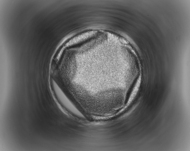 X0000083570845200703091636
