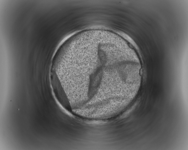 X0000083570847200703091636