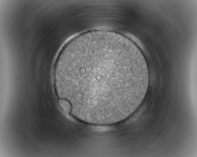 X0000083570848200703091636