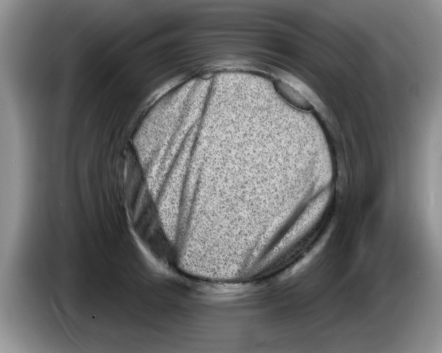 X0000083570849200703091636