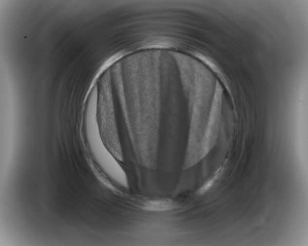 X0000083570850200703091636
