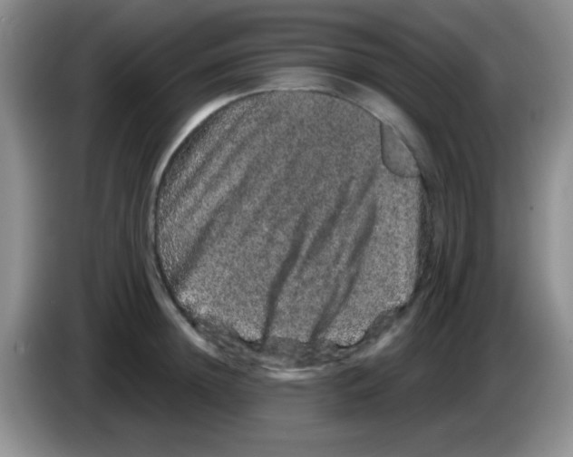 X0000083570852200703091636