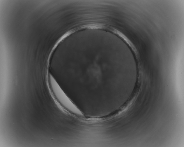 X0000083570853200703091636