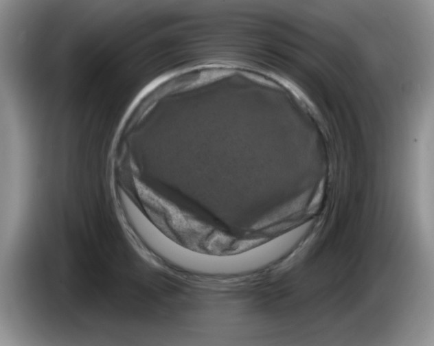 X0000083570854200703091636