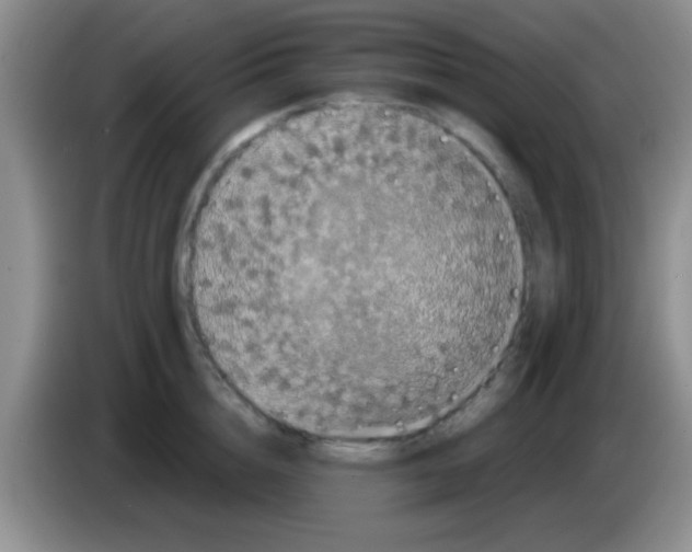 X0000083570856200703091636