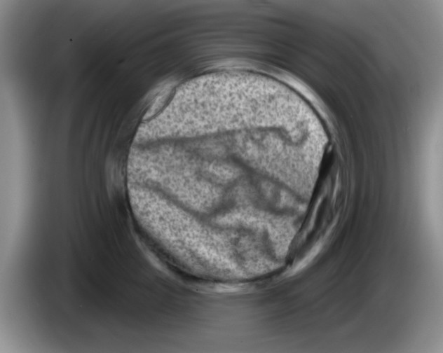 X0000083570857200703091636