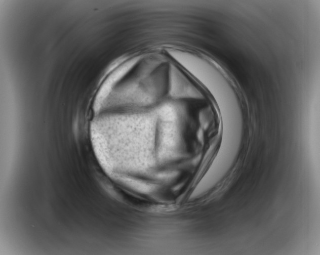 X0000083570858200703091636