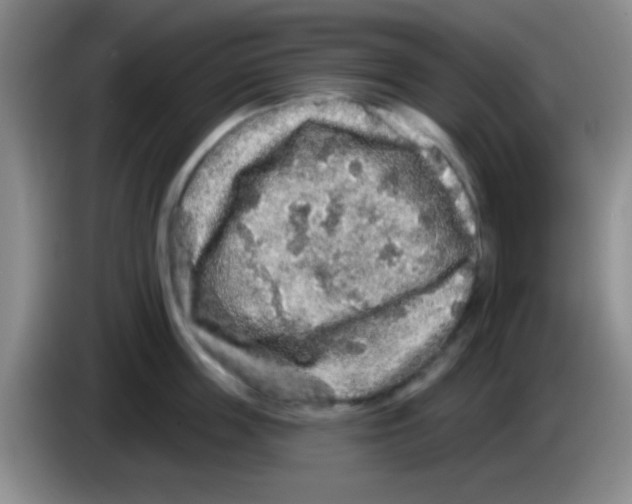 X0000083570859200703091636