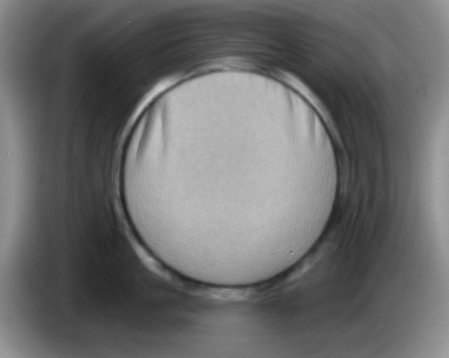 X0000083570861200703091636