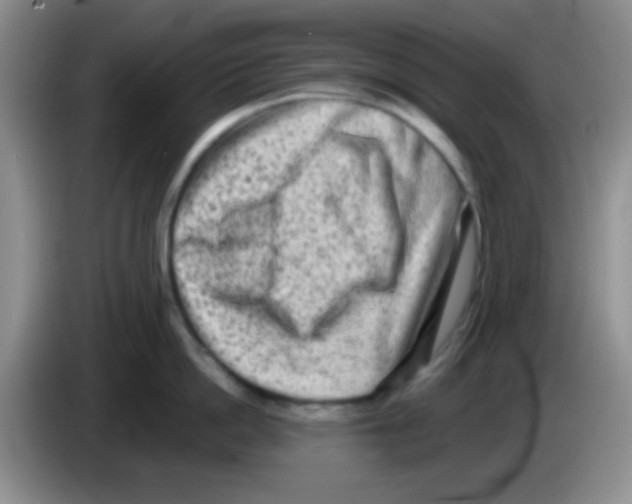 X0000083570862200703091636