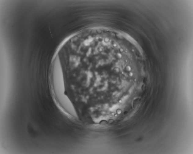 X0000083570863200703091636