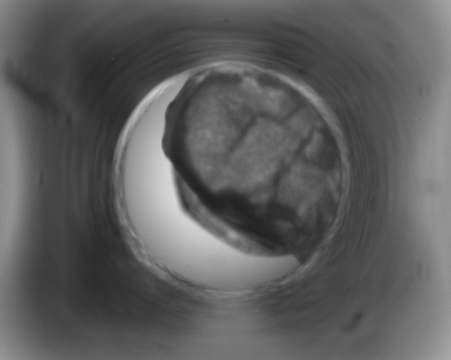 X0000083570864200703091636