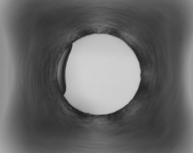 X0000083570865200703091635