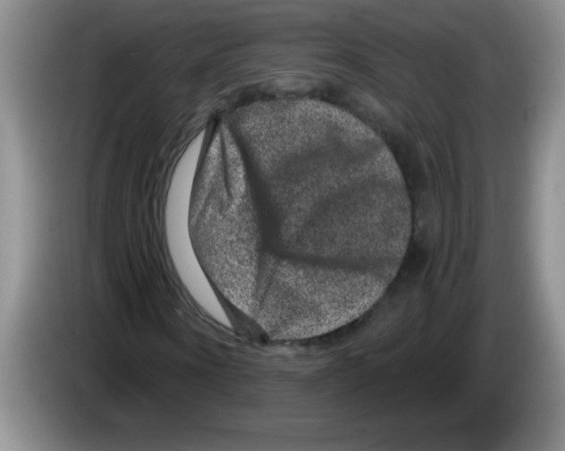 X0000083570866200703091635